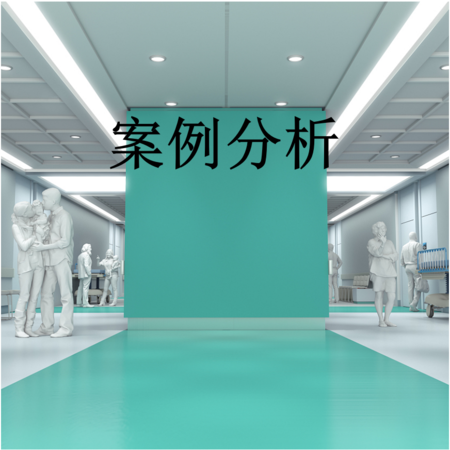 案例分析