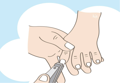 修剪手指、脚趾甲