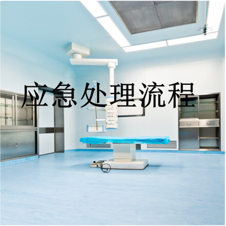 4.陪诊应急处理流程